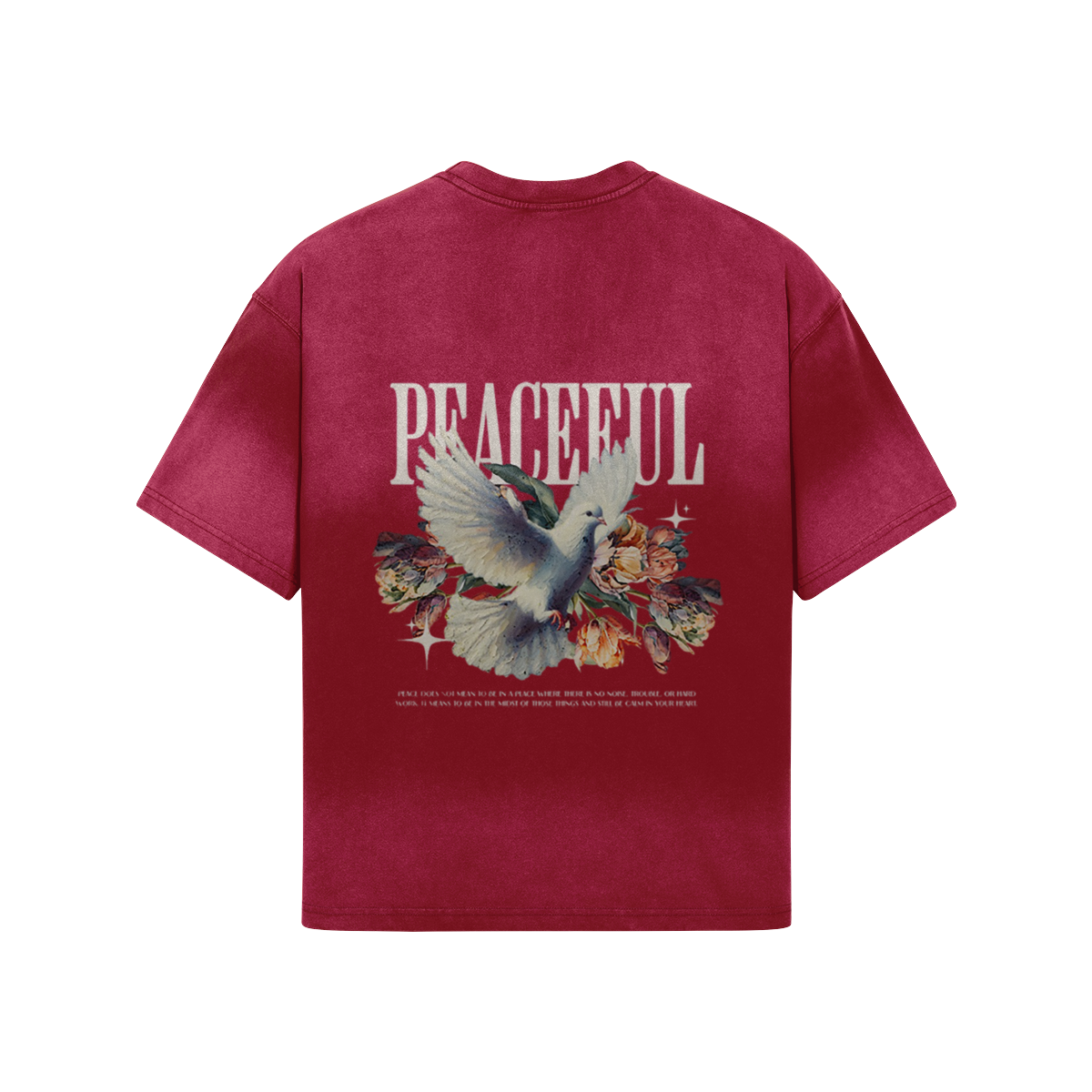 Graphic 260GSM Unisex Boxy Sun Faded T-shirt