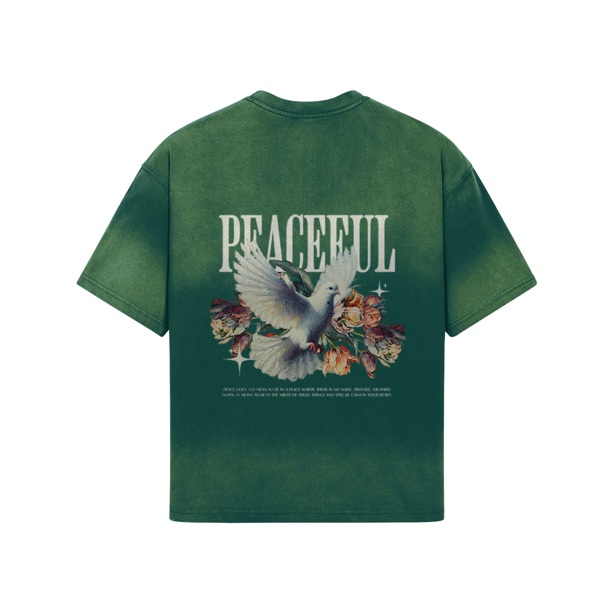 Graphic 260GSM Unisex Boxy Sun Faded T-shirt