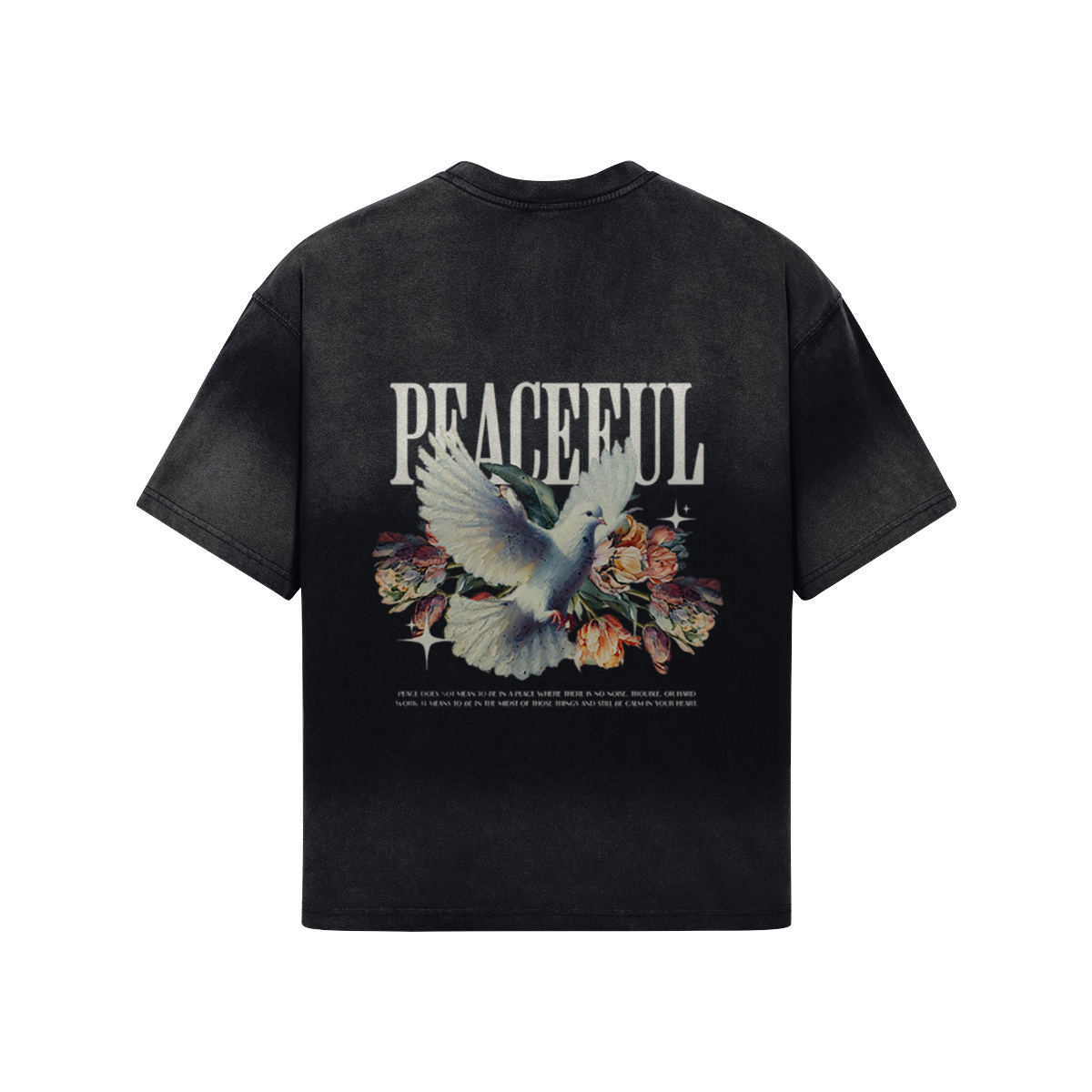 Graphic 260GSM Unisex Boxy Sun Faded T-shirt